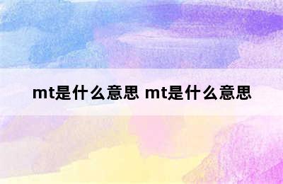 mt是什么意思 mt是什么意思